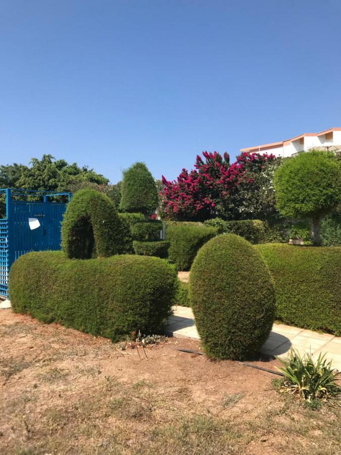 דירה 2 Bedroom Apartment-mediterranean Type